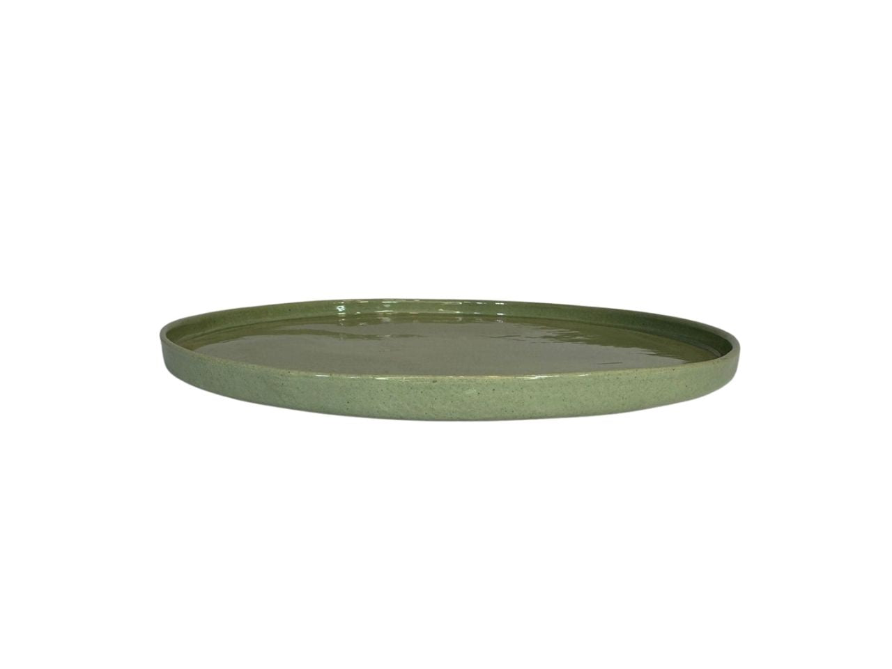 Evergreen Dinner Plate in Green