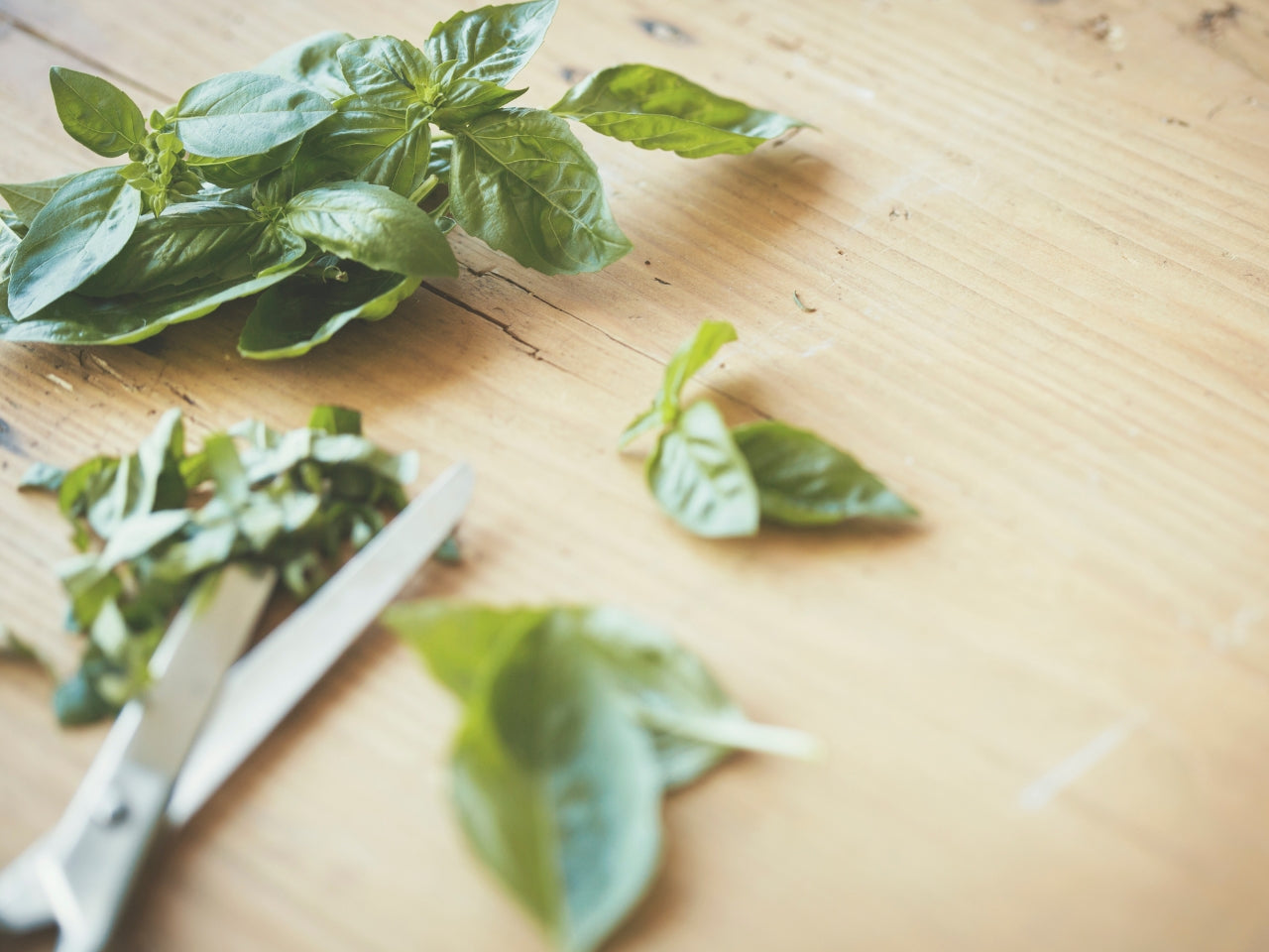 kitchen-scissors-milc-and-co